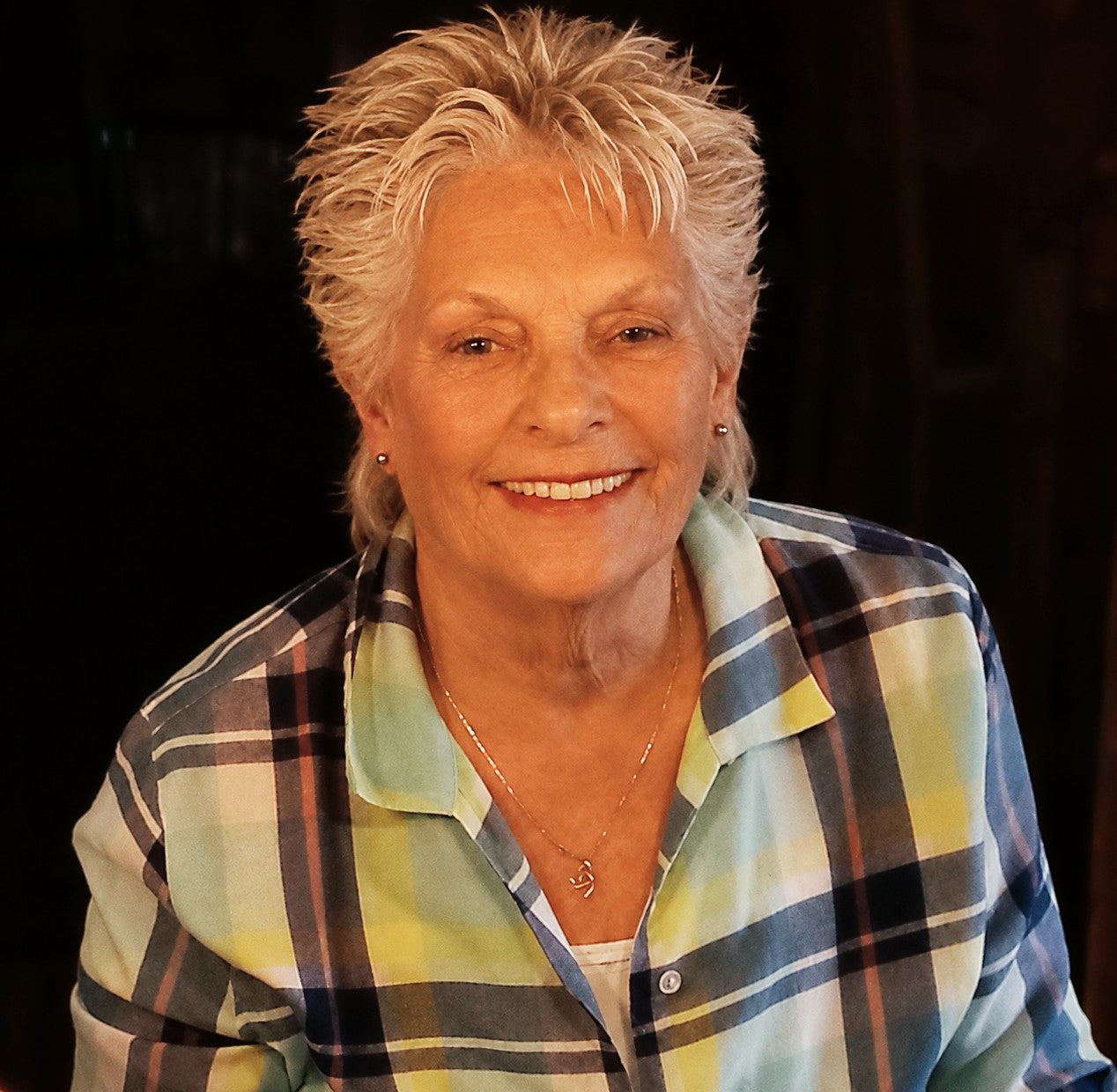 Image de l'avis Lise Audette